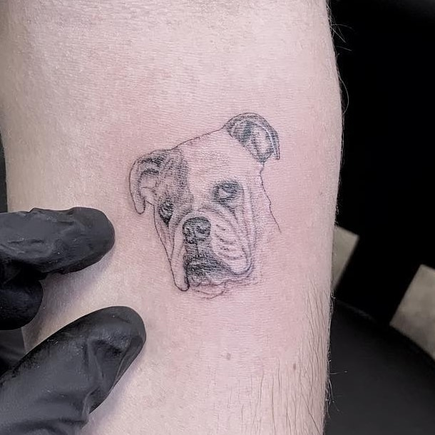 Fine-line micro-realism bulldog portrait tattoo on the calf with wrinkled brow and shaded ears