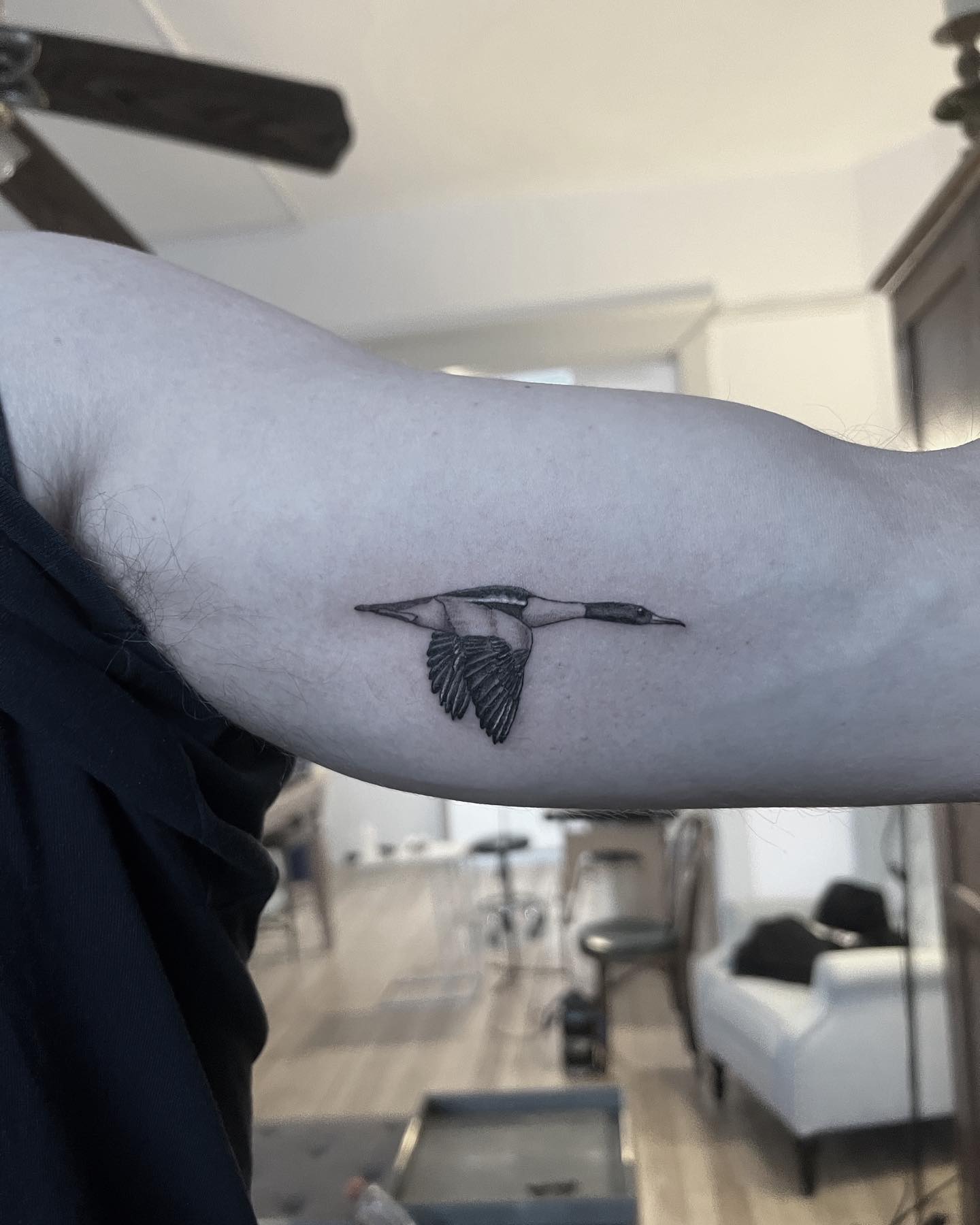 Fine line tattoo by Stephen Carballo