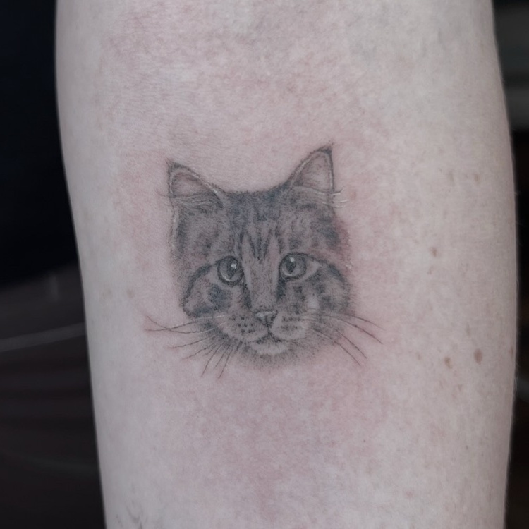 Fine-line black-and-gray realistic cat portrait tattoo on inner forearm with whiskers