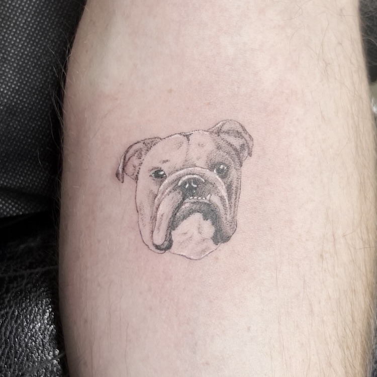 Fine-line micro-realism bulldog portrait tattoo on inner forearm with detailed wrinkles